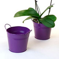 6 1/2" Purple Painted Pail w/ Dual Side Handles